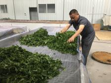 现代化实验生产