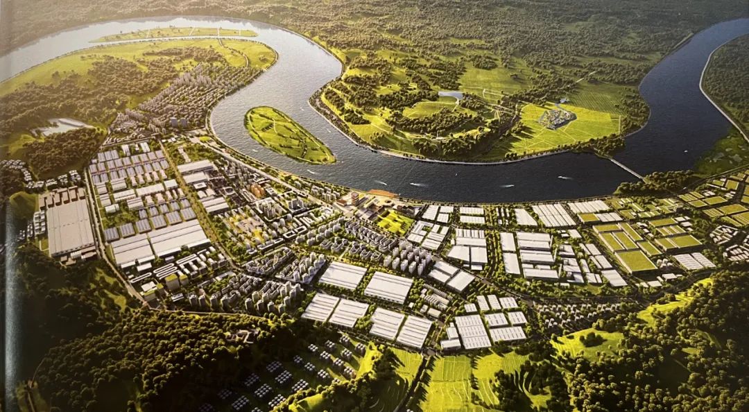 川酒第五大产区来了!看“大金花”沱牌舍得如何“绽放”