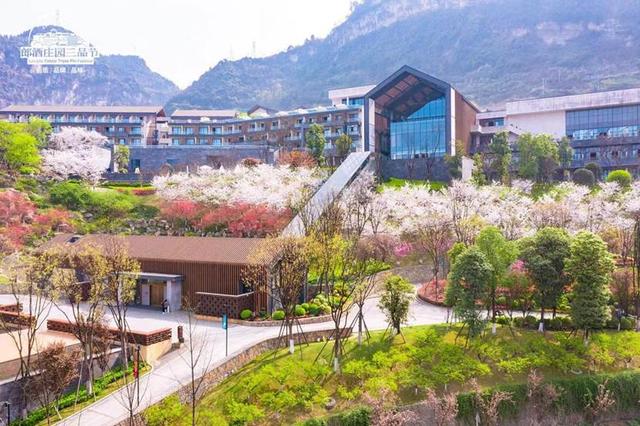 第三届三品节启动,三大升级打造“大家的郎酒”