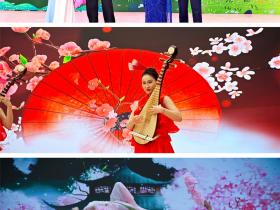 广迎天下客 共享世间春 2025第三届广州南沙樱花节正式开幕