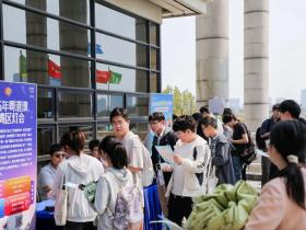 广州南沙发布全国首个青年人才发展全周期增量政策