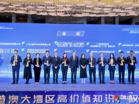 2025年“湾高赛”顺利收官, 千项成果点亮湾区创新之路