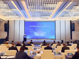 助推中非合作捷报频传,广州南沙加速成为民企出海前沿