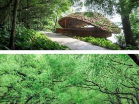 来广州南沙这个小镇colorwalk,每一帧都是春日大片