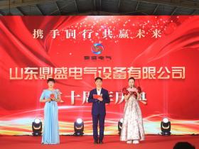 廿载鼎盛 感恩同行——山东鼎盛电气建厂20周年庆典盛大举行