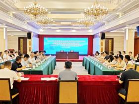 广州黄埔区黄埔街道:开局冲刺见成效,绘就商贸新蓝图