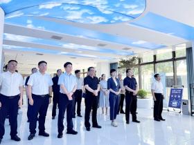 标准赋能发展 护航产业升级