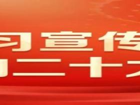 赤心映家国 文剑铸军魂----中华宋庆龄国际基金会秘书长张亮公益文化奋进纪实