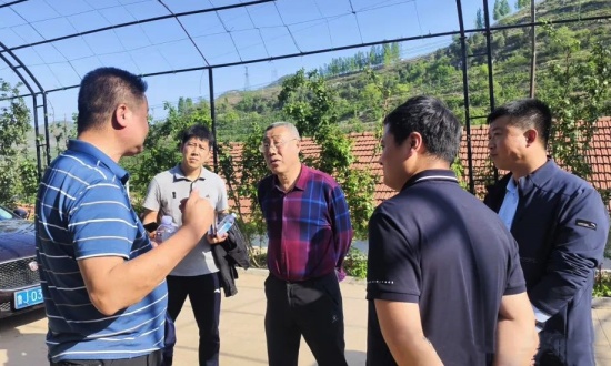 【驻市省派工作队王强一行来沂源调研】