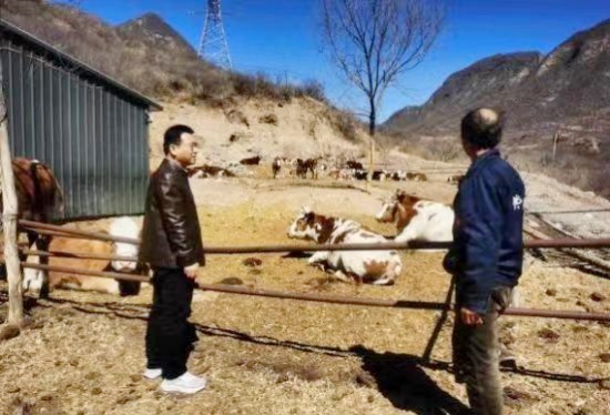 念畜牧蔬菜经 奏乡村振兴曲 工作队助力孙庄村产业发展促振兴