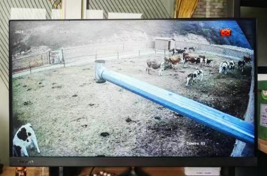 念畜牧蔬菜经 奏乡村振兴曲 工作队助力孙庄村产业发展促振兴