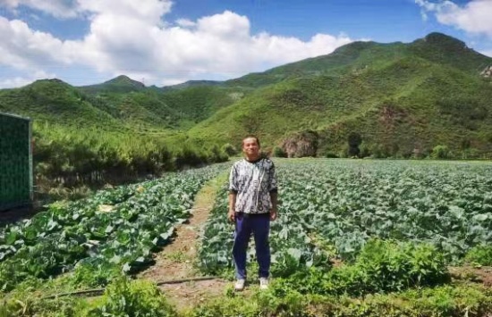 念畜牧蔬菜经 奏乡村振兴曲 工作队助力孙庄村产业发展促振兴