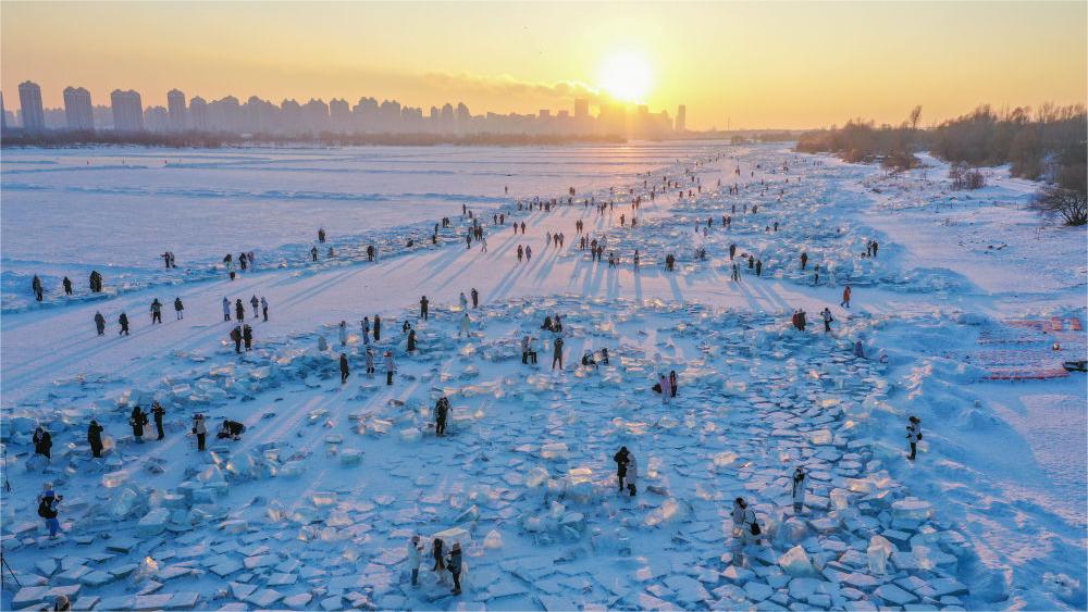 人才集聚 人口回流——东北引才留才效果初现