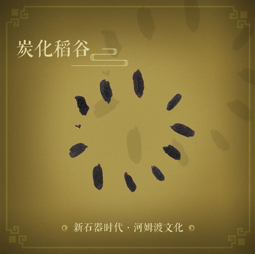 夜读|这篇夜读,无价!