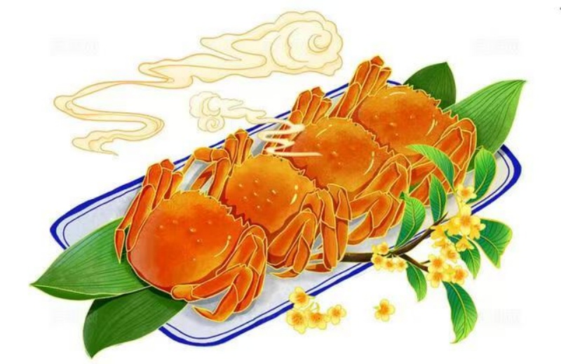 第三届一次中华张氏总会产业联盟发展大会隆重召开