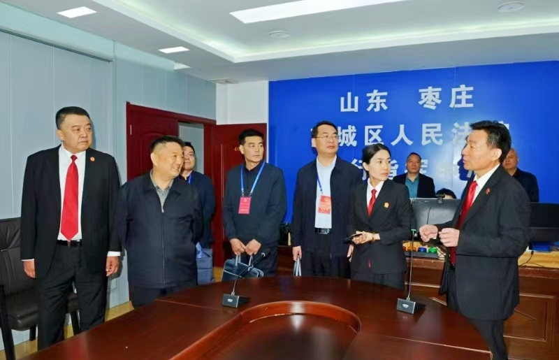 代表委员见证法院执行工作“新作为”