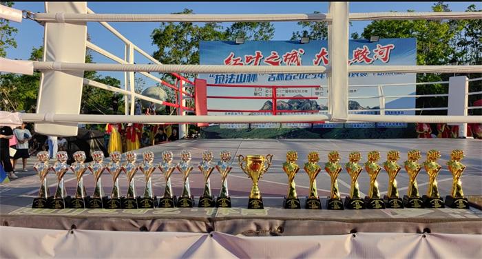 “拉法山杯”2025吉林省拳击精英赛获得圆满成功