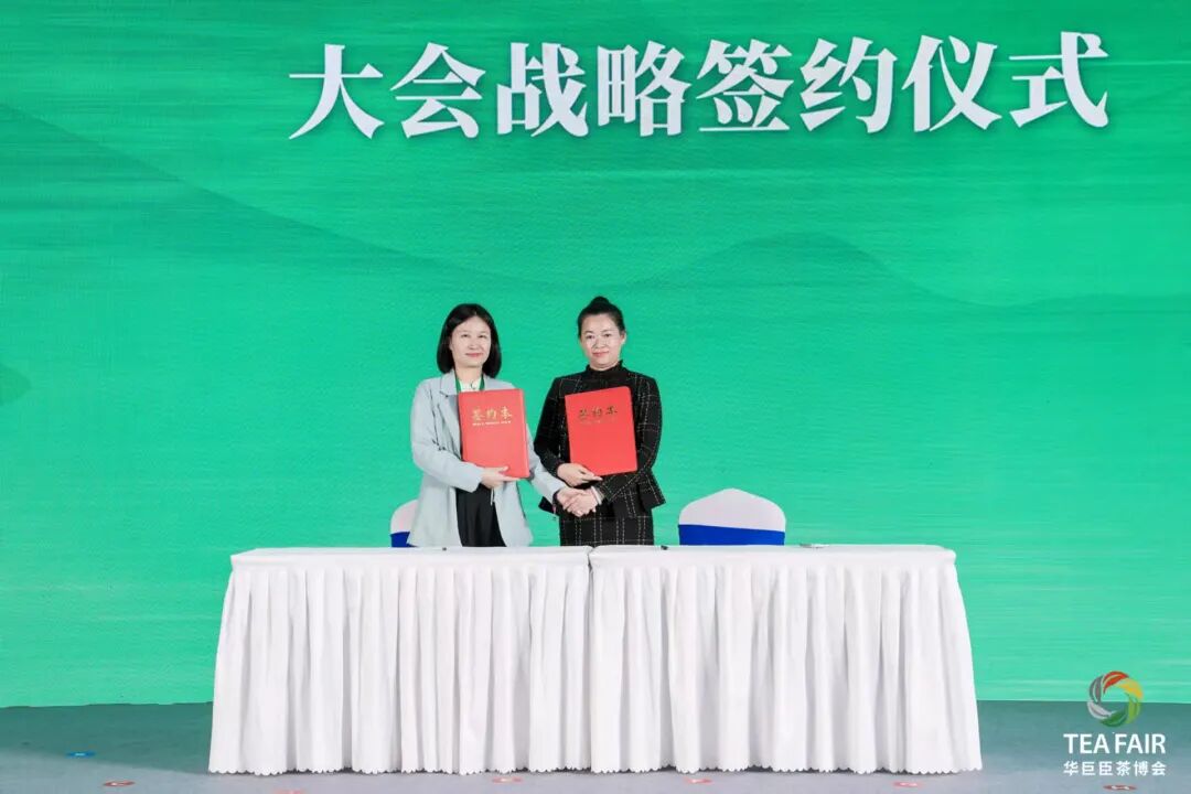 共绘健康新图景|第二届茶疗茶养与大健康产业国际发展大会盛大启幕