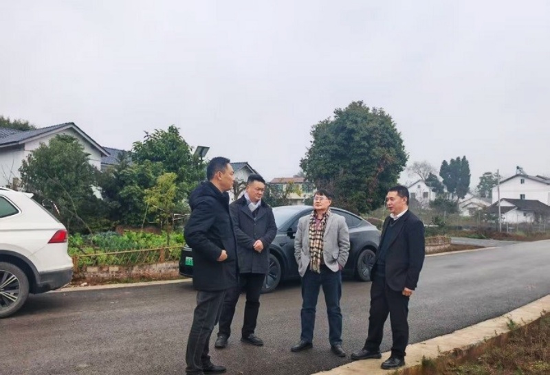 稻甲共生 滋养健康 —专家探访西南最大生态甲鱼养殖基地