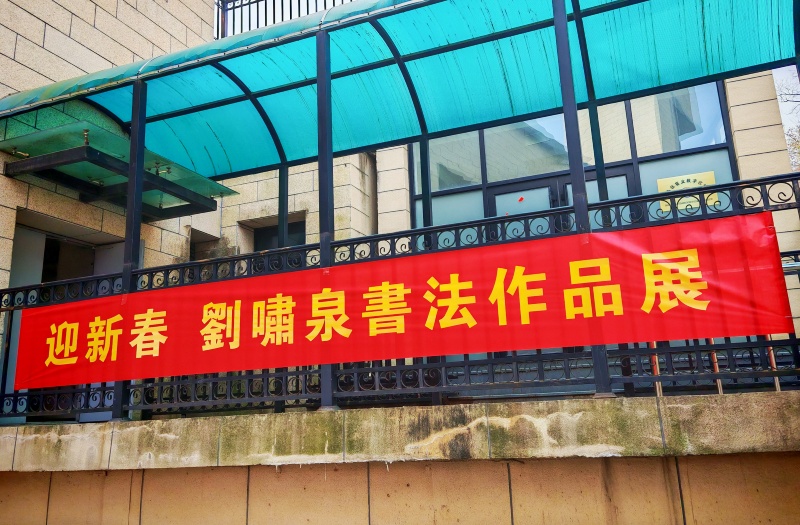 翰墨飘香蕴龙马精神,书法艺术铸强健之魂