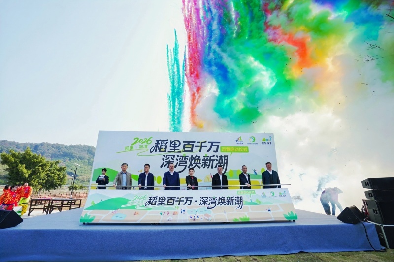 南沙“稻里·深湾”田园综合体正式启航  打造农文旅融合新标杆