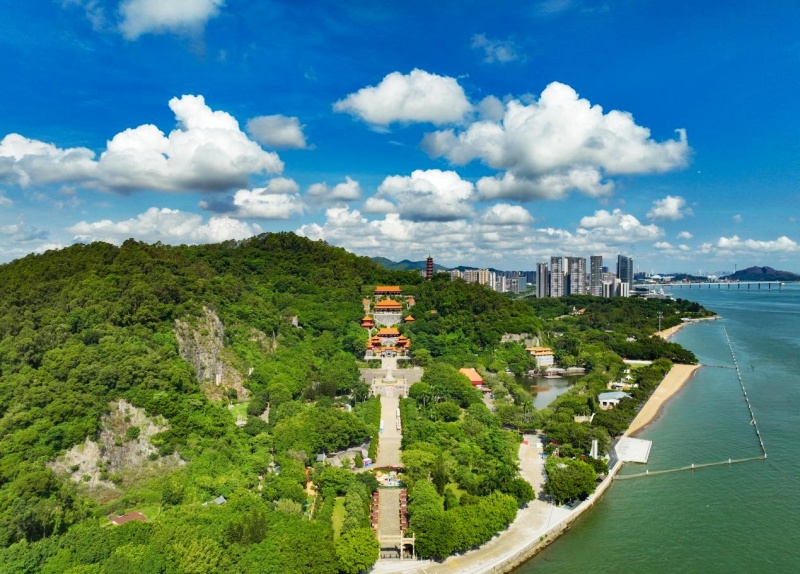 广州南沙区：除了逛灯会，你还可以“游”