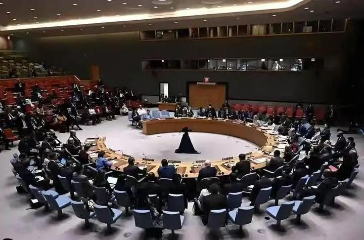 世界华文媒体协会与联合国新闻部合作新篇章