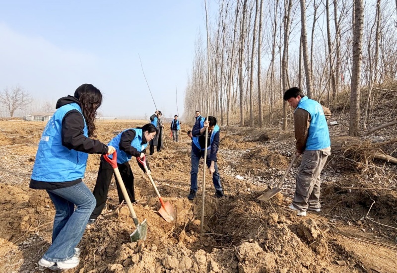 青春绿意共筑梦，潍宿青年展担当