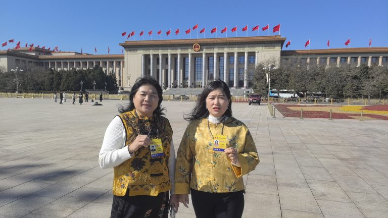 全國兩會清遠聲音:劉勝建言融灣崛起 衝刺三千億建北部新動力源