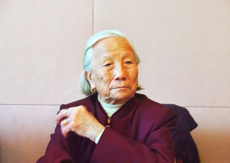 黄义子：新中国妇女楷模、从田埂里走出来的人民代表