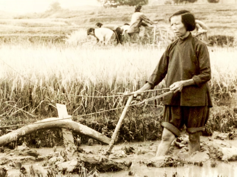 黄义子：新中国妇女楷模、从田埂里走出来的人民代表