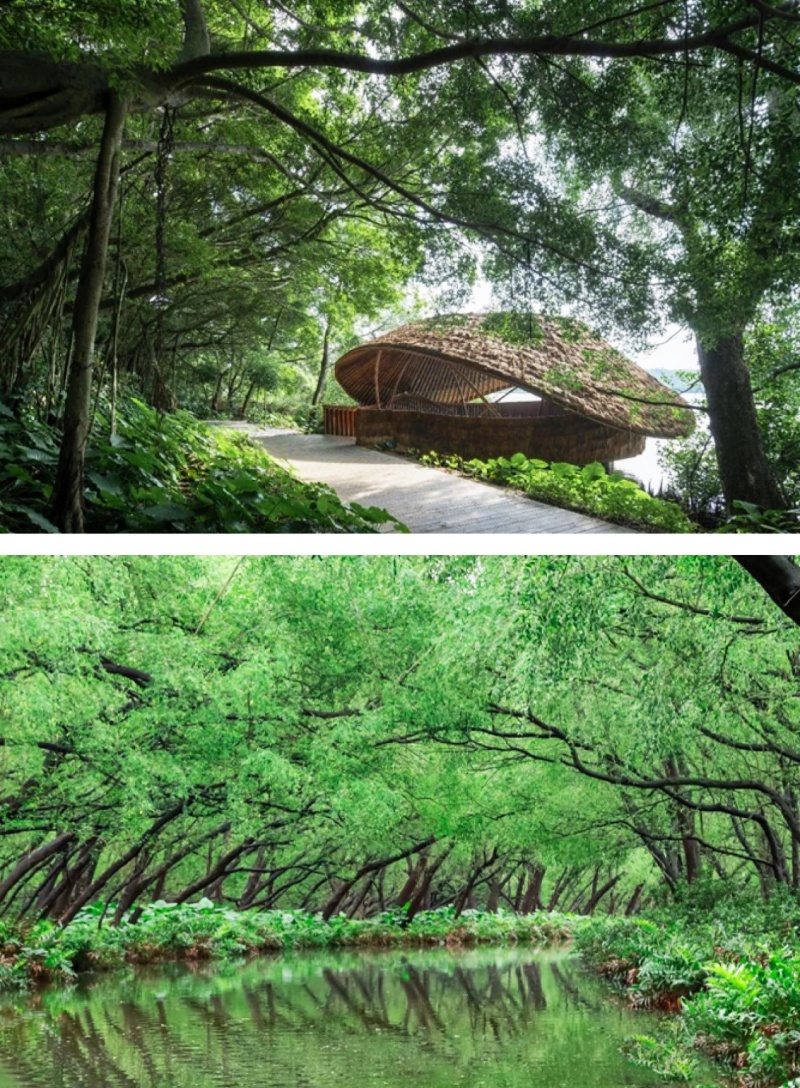 来广州南沙这个小镇colorwalk，每一帧都是春日大片