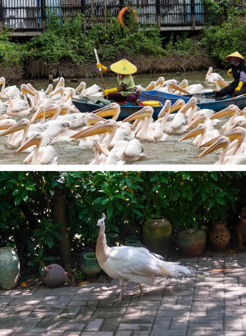 来广州南沙这个小镇colorwalk，每一帧都是春日大片