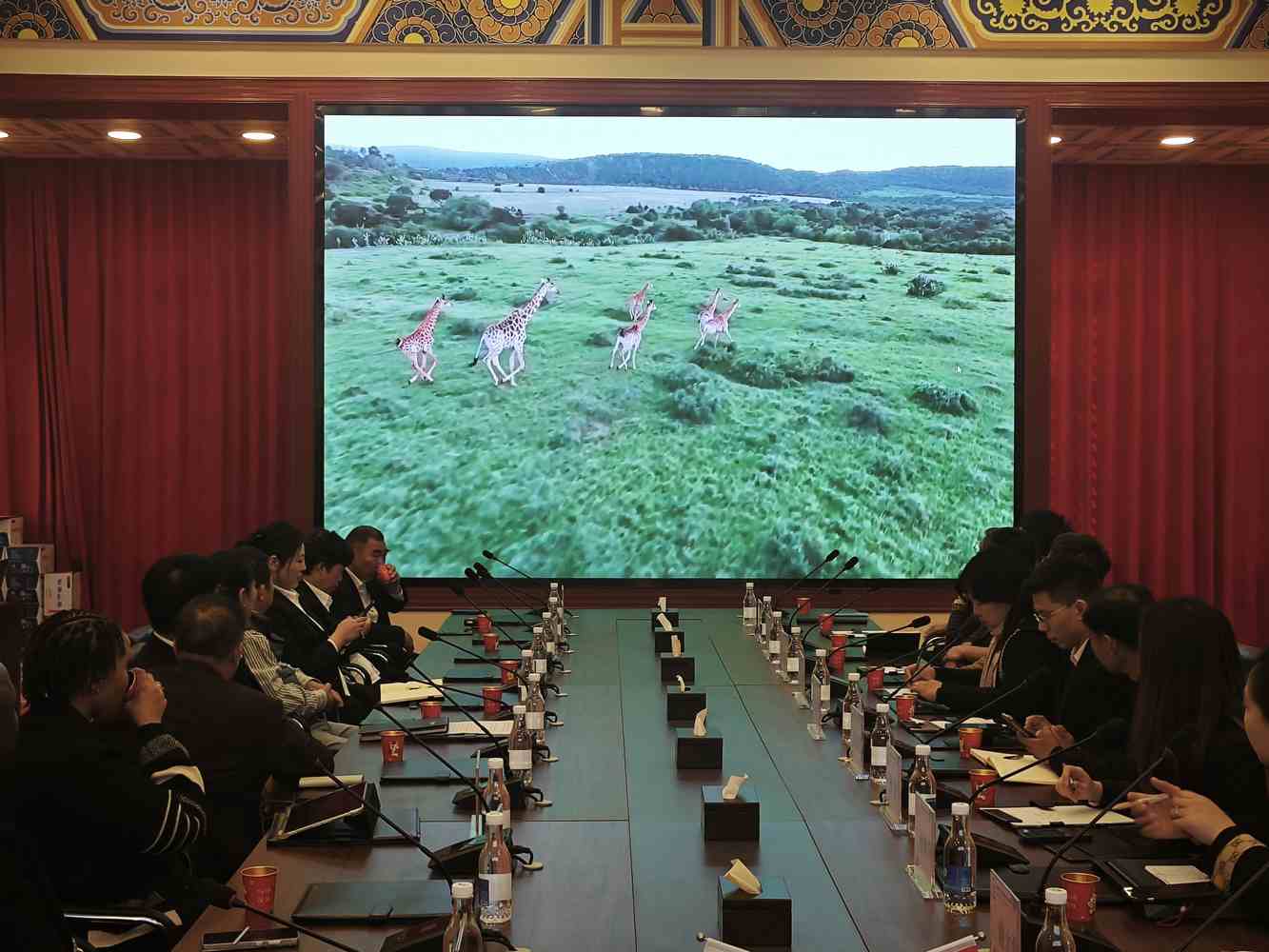 金文委携手南非科加,共绘跨国招商新蓝图——融入2026年两会精神,开启中非合作新篇章