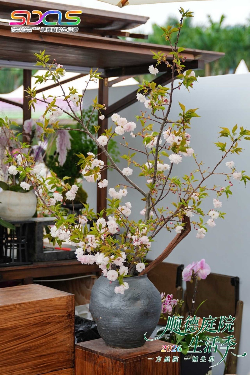 一方庭院,一城生机 | 2026顺德庭院生活季盛大启幕