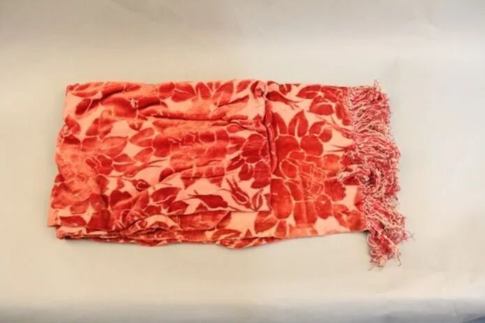 「刘凤珍」红旗下的故事 | 一生的温暖——记刘力贞妈妈的披肩