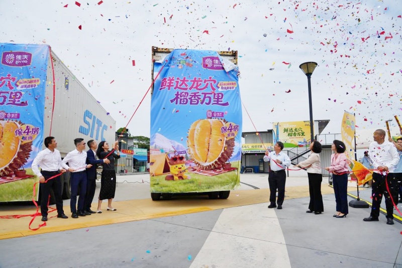 鲜达龙穴，开柜即售！南沙港口新鲜集市榴莲嘉年华燃爆龙穴