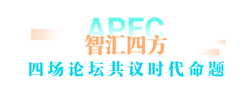 APEC研究中心联系会议青年学者论坛成功开幕