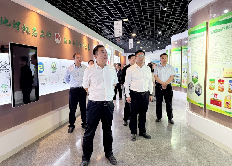 赋能履职强本领 护航企业促发展 ——枣庄市知识产权保护及行政管理业务培训班在山亭区举办
