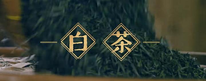 “大盛魁” 铸就 “万里茶道”,为“古丝绸之路”的“茶自由贸易”与“茶文化交流”缔造“华商旗舰品牌”