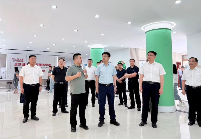 标准赋能发展 护航产业升级