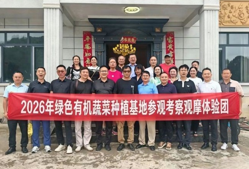 深耕绿色有机农业 共探品质发展之路—各界专家组团考察巴南区东温泉镇绿色有机蔬菜种植基地
