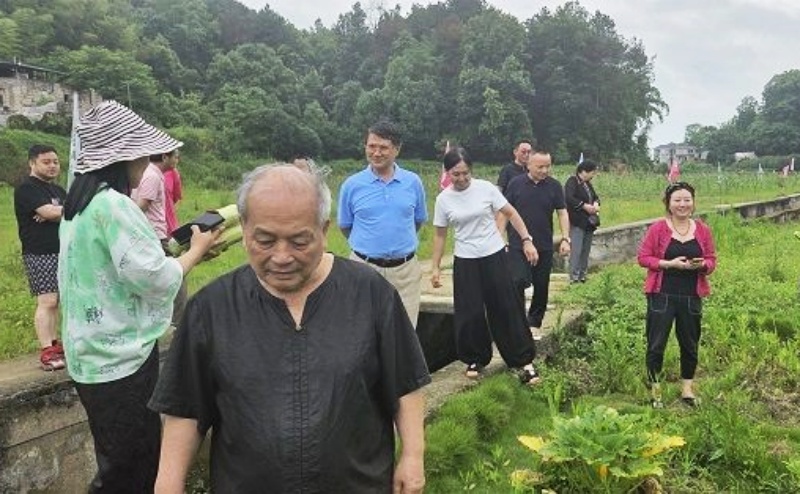 深耕绿色有机农业 共探品质发展之路—各界专家组团考察巴南区东温泉镇绿色有机蔬菜种植基地