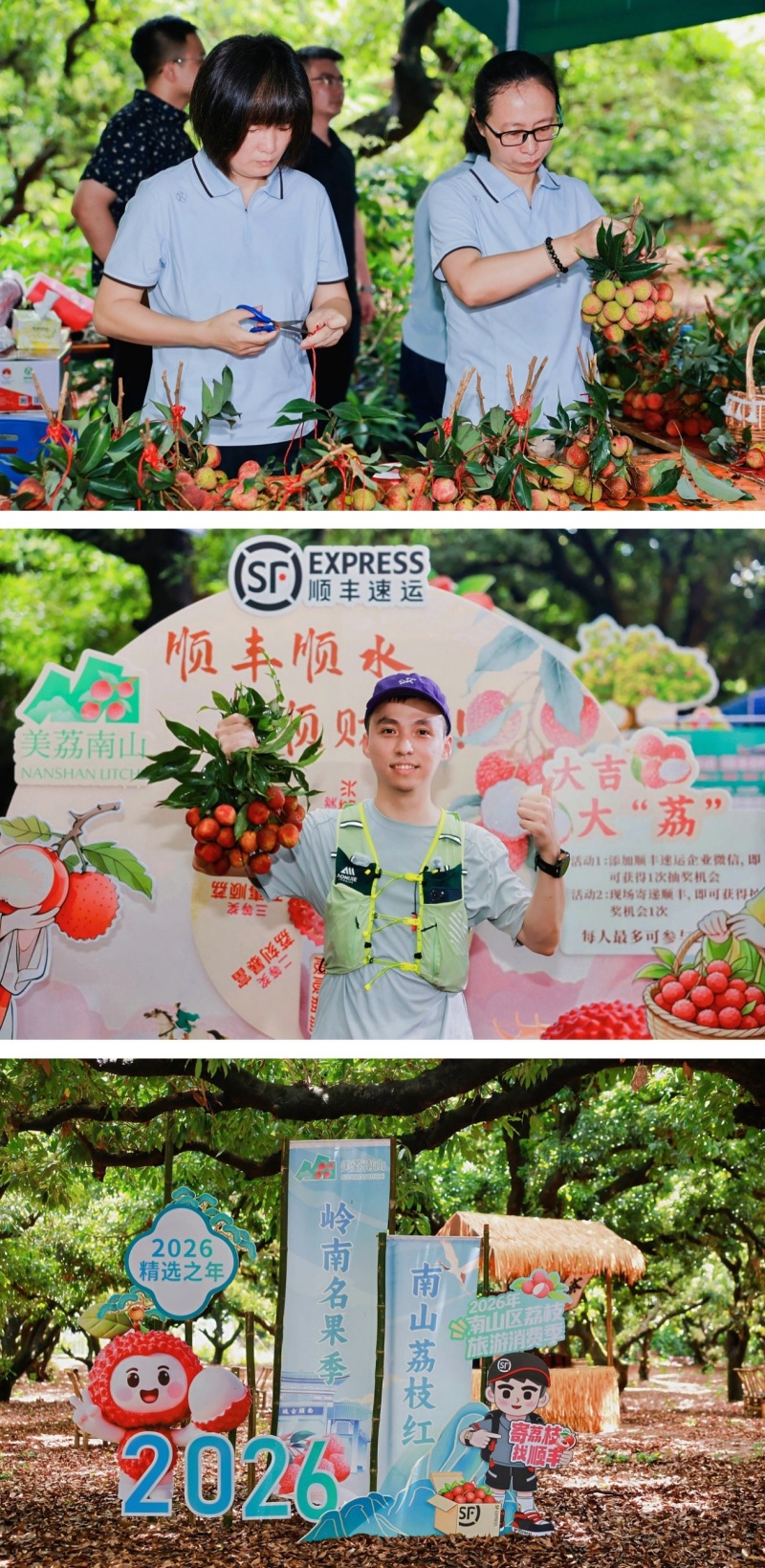 深圳南山百年老树拍卖会落槌,家园好物科技以2.9万元竞得