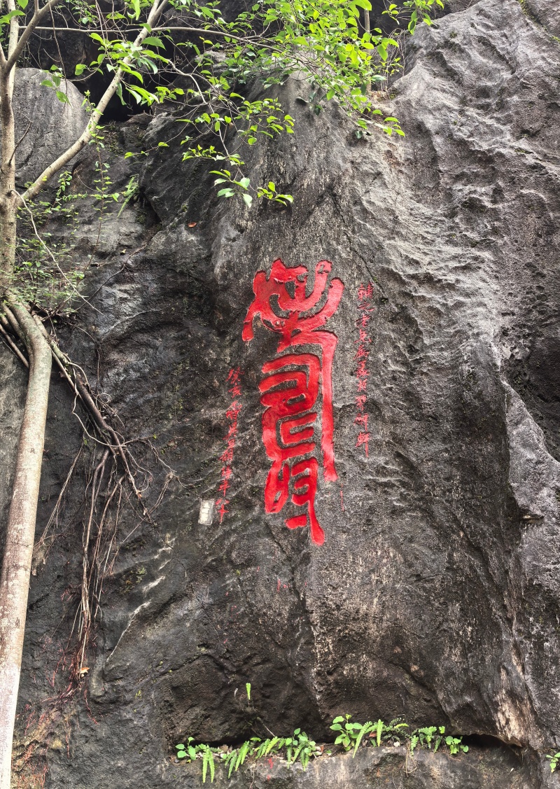 海外华文媒体走进贺州:感受古道新韵 探寻非遗活力