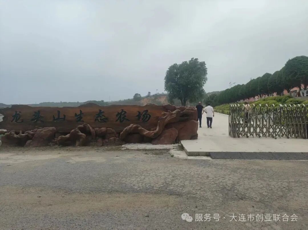 大连市创业联合会赴普兰店龙头山生态农场调研考察农业创业项目