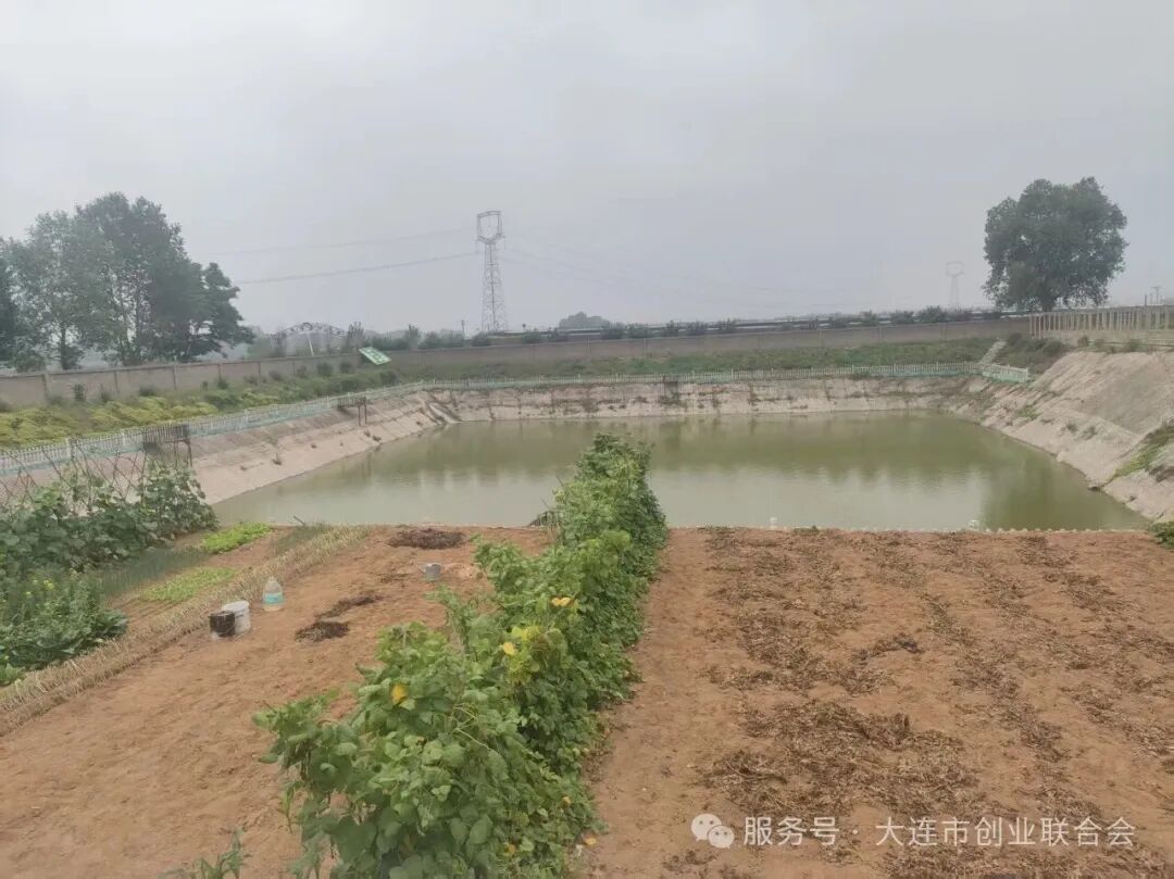 大连市创业联合会赴普兰店龙头山生态农场调研考察农业创业项目