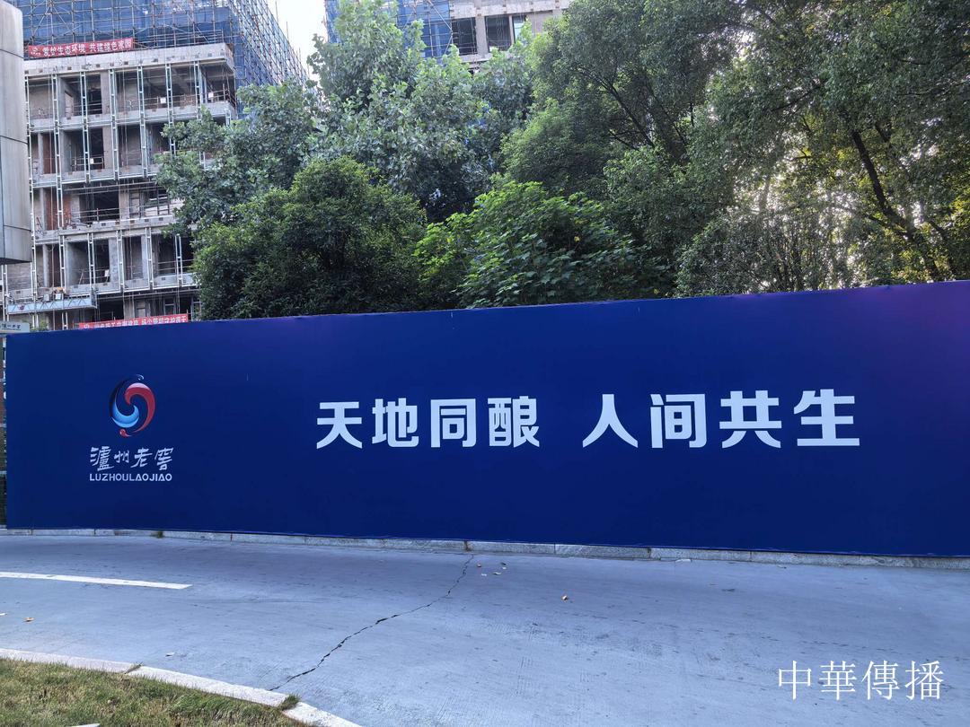 中華文明五千年，泸州酒香七百載——北京市海淀区民革企业家代表团赴川考察调研