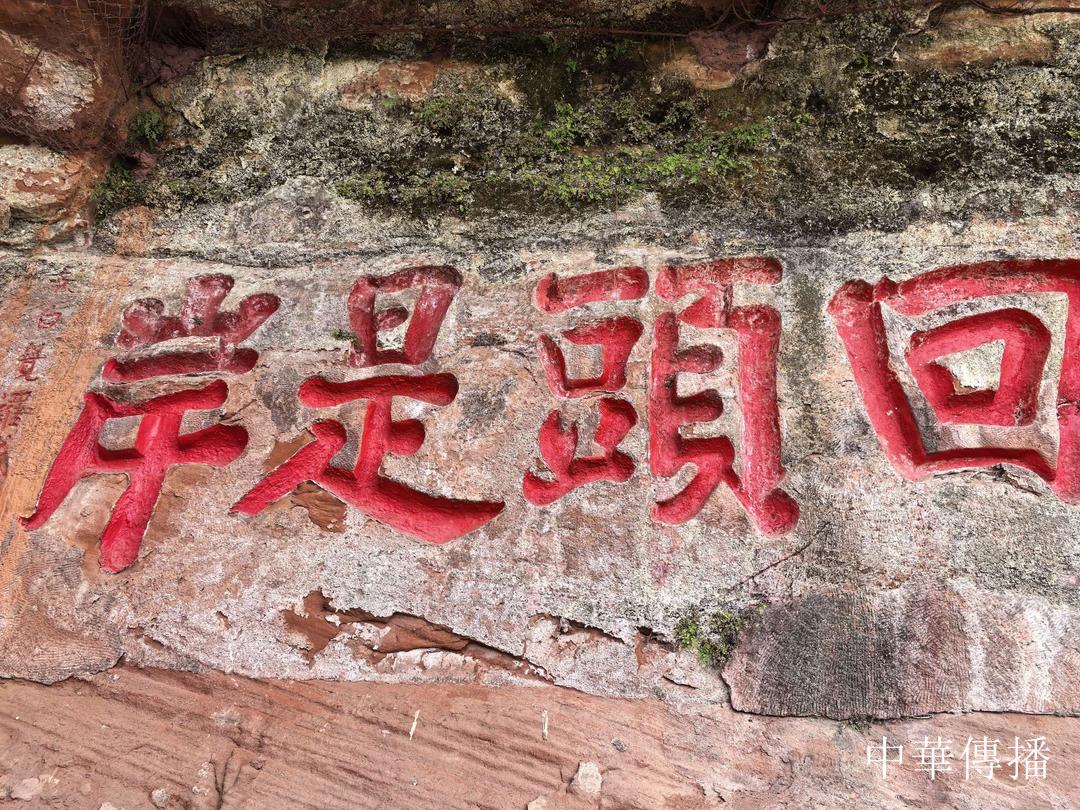 中華文明五千年，泸州酒香七百載——北京市海淀区民革企业家代表团赴川考察调研