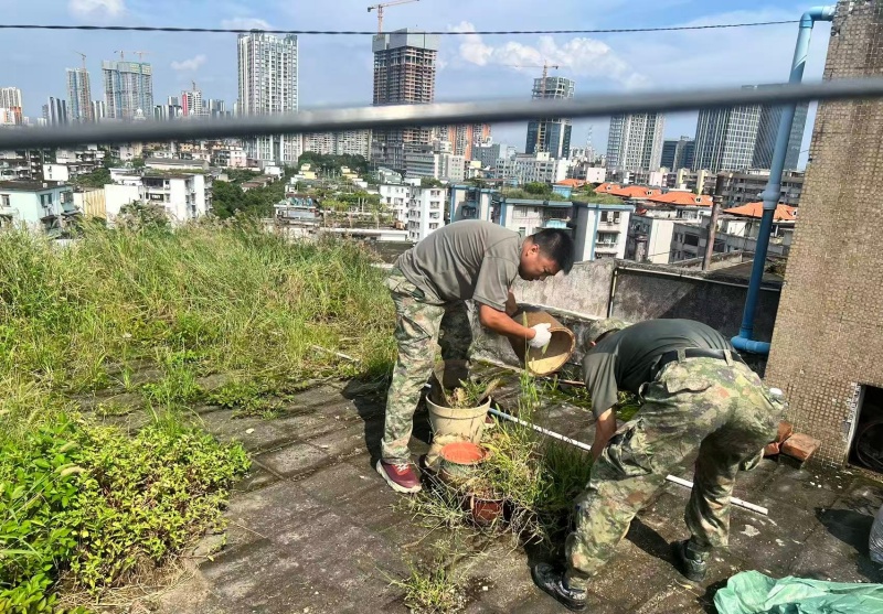 广州黄埔区黄埔街道基干民兵突击队: 助力环境治理,筑牢安全防线